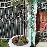 Backpackers & Bar Lungomare * Vlore