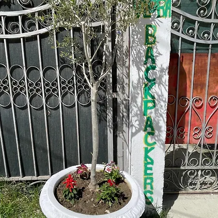 Backpackers Hostel&bar Lungomare * Vlorë
