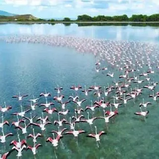 Vandrerhjem Backpackers & Bar Lungomare Vlorë