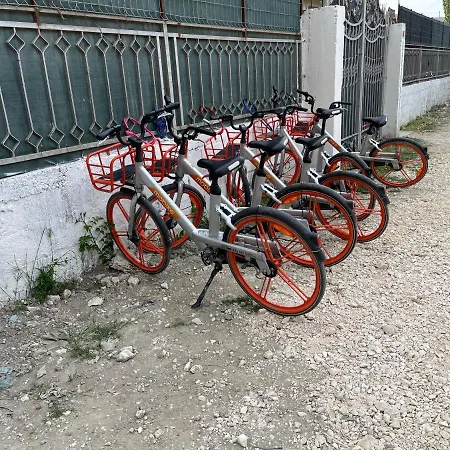 Backpackers Hostel&bar Lungomare