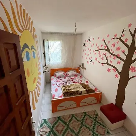 旅馆 Backpackers & Bar Lungomare *