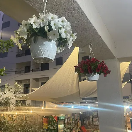 Backpackers & Bar Lungomare